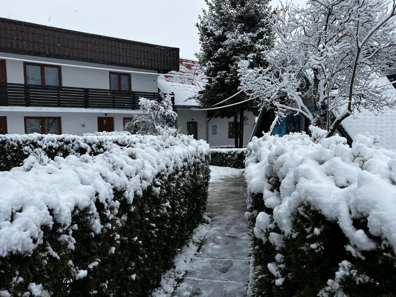 Pensiunea Bavaria Câmpina Exterior photo