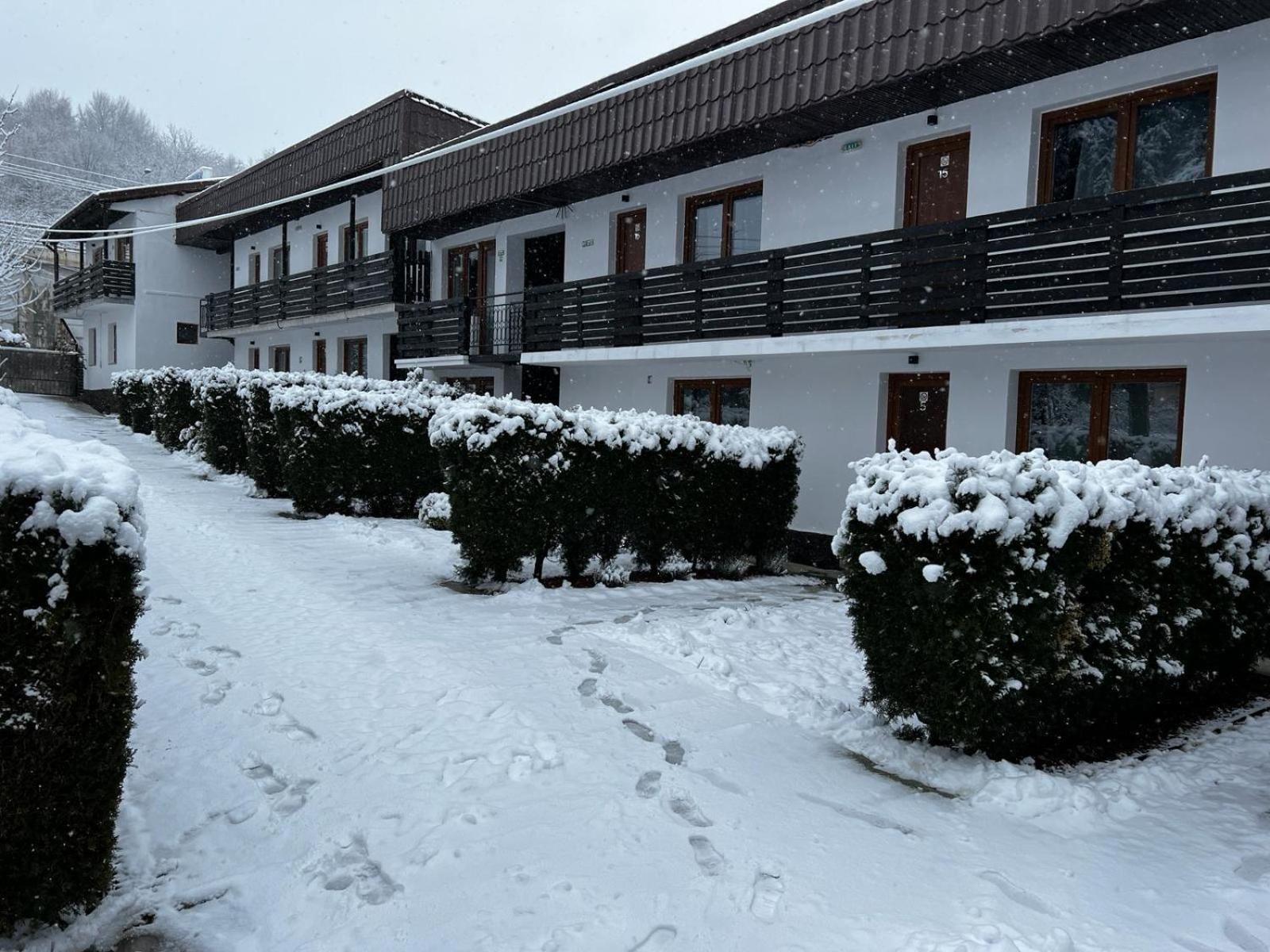 Pensiunea Bavaria Câmpina Exterior photo